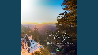 New Year’s Day forest〜森の音〜ver [upl. by Aiceila]