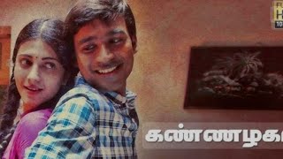 3  Kannazhaga  Dhanush Shruti  Anirudh 3movie [upl. by Guinn452]