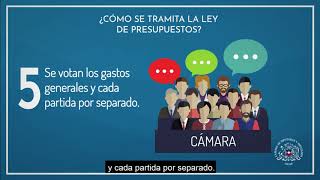 Cómo se tramita la Ley de Presupuestos [upl. by Eednahs46]