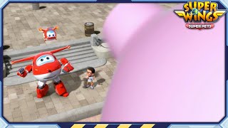 SUPERWINGS5 HL Runaway Piggy Bank  EP22  Superpet  Superwings  SuperWings [upl. by Lednek]