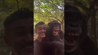 Limbani the chimpanzee smiles in video shared by caretaker [upl. by Bocaj759]