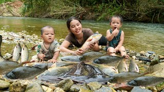 Encounter a huge school of fish  catch fish and trap fish on a rainy day  cook with your children [upl. by Georgeanne743]