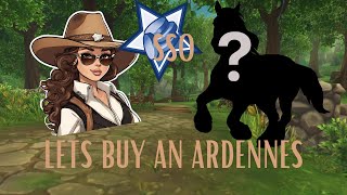 Lets Buy An Ardennes  Star Stables [upl. by Billy84]