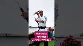 Nunchaku transitions défenseattaque Nunchaku CoVoDao NihonTaiJitsu [upl. by Yrrac913]