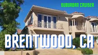 Exploring the wonders of Brentwood CA brentwoodca losangeles [upl. by Minier]