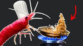 I Taught My Shrimp To Fry Rice [upl. by Nihhi]