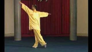 Nieren Qigong mit Dr Xiaoqiu LI [upl. by Atla]