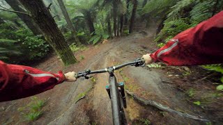 CARNAGE on Steep DH Trails [upl. by Alexine]