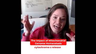 The Impact of Mitochondrial Genome Homeostasis [upl. by Vin]