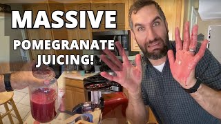 MASSIVE POMEGRANATE JUICING  How to Extract and Make Pomegranate Juice from Seeds [upl. by Sibell]