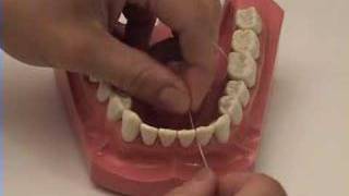 Smile Brush Floss  Flossing Tutorial [upl. by Eppillihp579]