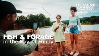 Fish and Forage in the Bay of Fundy [upl. by Nwaf719]