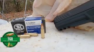 57X28 SS197SR 40gr Hornady Vmax Ballistic Chicken Test [upl. by Orman787]