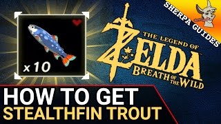 How to Find Stealthfin Trout  Stealth Gear Upgrades  Zelda Breath of the Wild [upl. by Pooi]