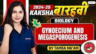 Gynoecium and Megasporogenesis  Class 12 Biology  Tamsa Maam  Rankplus class12biology [upl. by Nadnerb731]