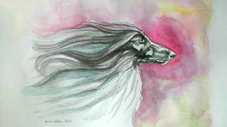 AFGHAN HOUND ART  Lynne Watson [upl. by Daphne]