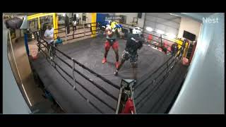 Boxer Ardi Ndembo Knocked out in Sparring Weeks Out From His Fatal Team Combat League Bout [upl. by Anehs927]