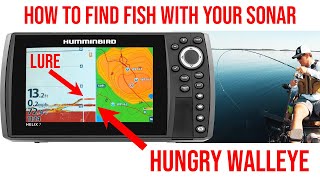 How To Use Your Sonar To Find Walleye Humminbird Helix [upl. by Eula50]