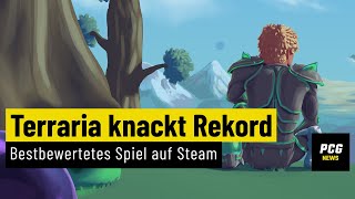 Terraria ist das neue bestbewertete Spiel auf Steam  News [upl. by Lukin41]