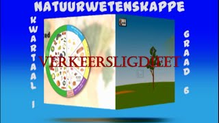 Verkeerslig Dieet Deel 8 [upl. by Wendelina202]