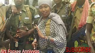 Faaxee Anniyyaa  Waanjoo Gabrummaa  New Oromo Music [upl. by Auqenahs204]