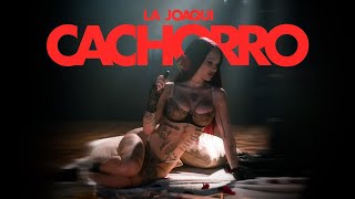 LA JOAQUI  Cachorro Video Oficial Prod Big One [upl. by Nnylekoorb]