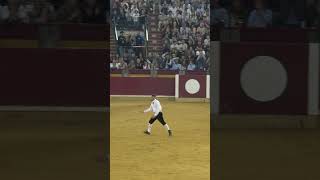 Rondada de Diego Almarza En el Campeonato Goyesco en Zaragoza 2024 recortador toros rondada [upl. by Dibri738]