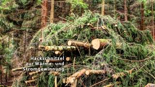 Dokumentation Hackschnitzelproduktion  vom Wald bis ins Heizkraftwerk [upl. by Rebane]