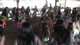 Embera Puru Dancemp4 [upl. by Emyam]