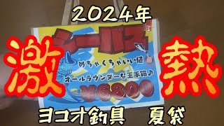 暑さに負けるな！ ヨコオ釣具夏袋2024 釣り 福袋 夏袋 ヨコオ釣具 シーバス ルアーフィッシング 夏鱸 釣り福袋 [upl. by Eittel]