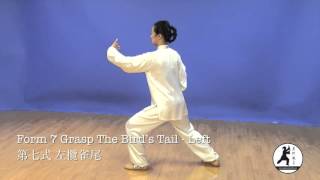 24 Form Tai Chi Demonstration Back View Master Amin Wu 吳阿敏背向示範楊式24式太極拳 [upl. by Nedyaj]