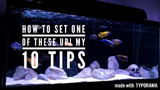 AFRICAN CICHLIDS HOW TO SET UP A TANK amp KEEP THEM HEALTHY  10 TIPS [upl. by Bertha]