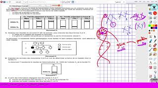 Génétique humaine bac sciences bac math  افتتاح عرض الحصص المباشرة للثلاثي الثاني ❤️ [upl. by Enitselec]