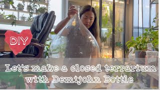 DIY Lets make a closed terrarium with Demijohn bottle 密封テラリウムを作る [upl. by Dorrie]