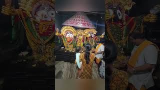 Sri jagannath  Jai Jagannath  Sunabesa  Morning Darshana [upl. by Eonak]