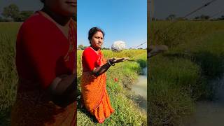 Village lady traditional hook fishing in the canal mud water canalfishing fishingmethods fishing￼ [upl. by Findlay]