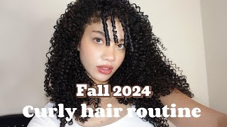 Fall Curly hair routine 2024 3b3c curls [upl. by Dhruv]