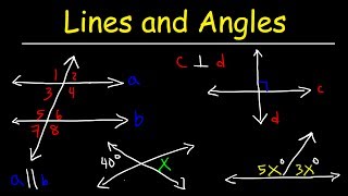 Parallel and Perpendicular Lines Transversals Alternate Interior Angles Alternate Exterior Angles [upl. by Savihc]