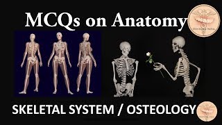 Anatomy MCQs  Skeletal System  Osteology [upl. by Annabal]