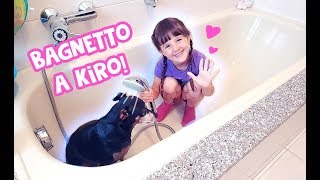 🐶💦Facciamo il bagnetto a Kiro 💦🐶 [upl. by Iover]