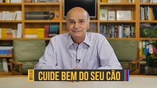 Cuidados contra a leishmaniose canina  Coluna 63 [upl. by Annmarie]