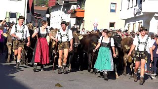 Viehscheid in Wertach Almabtrieb am 18092018 [upl. by Asecnarf550]