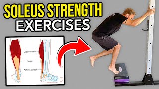 3 Exercises to Strengthen the Soleus Muscle [upl. by Bobseine501]