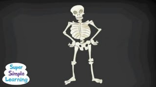 The Skeleton Dance  Classroom Fun  Super Simple Songs [upl. by Pickard733]