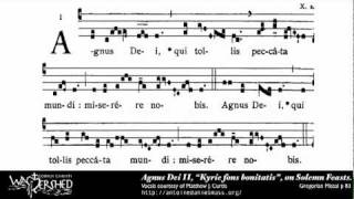 Agnus Dei II from Mass II Gregorian Chant [upl. by Raeann]