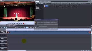 Magix Edit Pro 2013 MultiCam Step 1  ImportSync [upl. by Philender851]