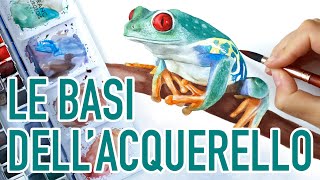 LE BASI DELLACQUERELLO 🖌 Come imparare a dipingere con i colori acquarelli  Disegnare una rana 🐸 [upl. by Jecoa]