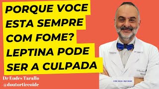 Leptina pode ser a causa de voce não emagrecer [upl. by Bauske]