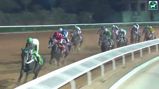 RIYADH RACING SEASON MEETING NO 52 RACE NO 10 [upl. by Amberly]