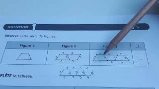 Q1 CE1D mathématique 2023 Dénombrements [upl. by Bowne656]